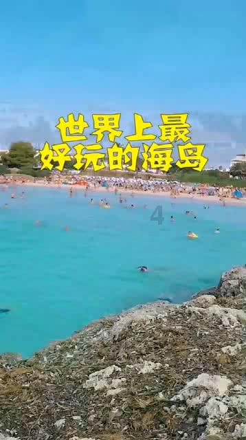 拯救小萌虎