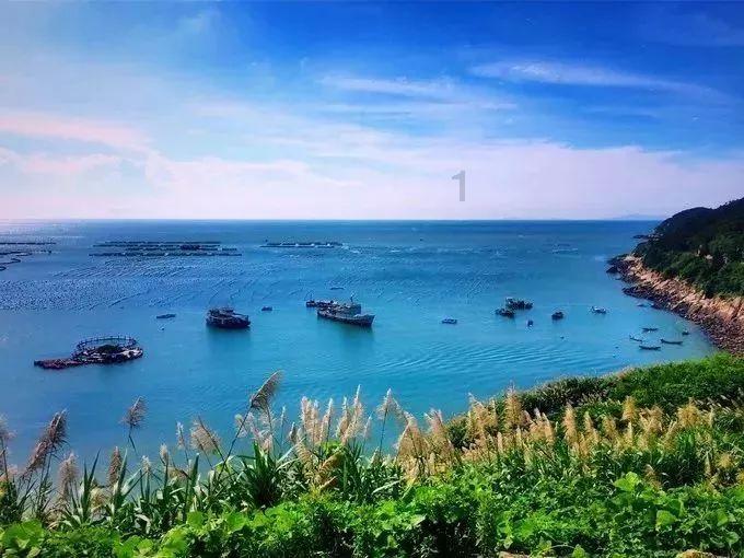 《要久久爱》热播，杨紫范丞丞首度合作
