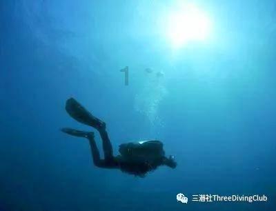 浙江省作家协会副主席沈苇:对浙江文学有何期待