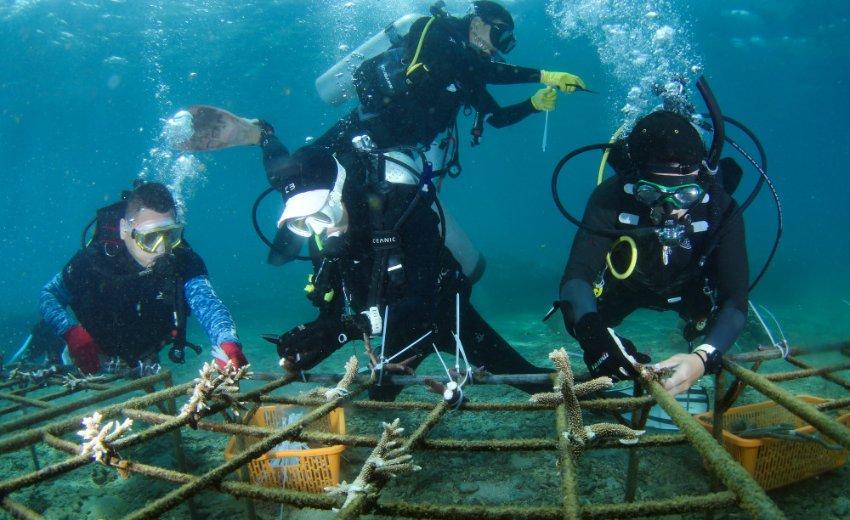 纽顿集团盘中异动 股价大涨5.50%报6.91美元