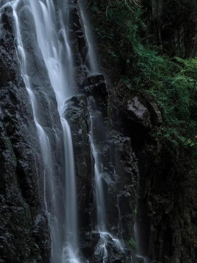 荒岛枪训