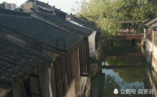 诱捕小浣熊